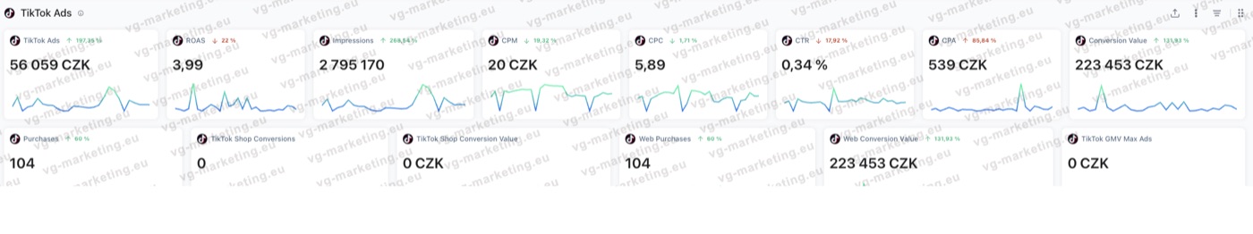 Дашборд TikTok Ads: ROAS 3.99, Kč 223K выручки, 104 покупки
